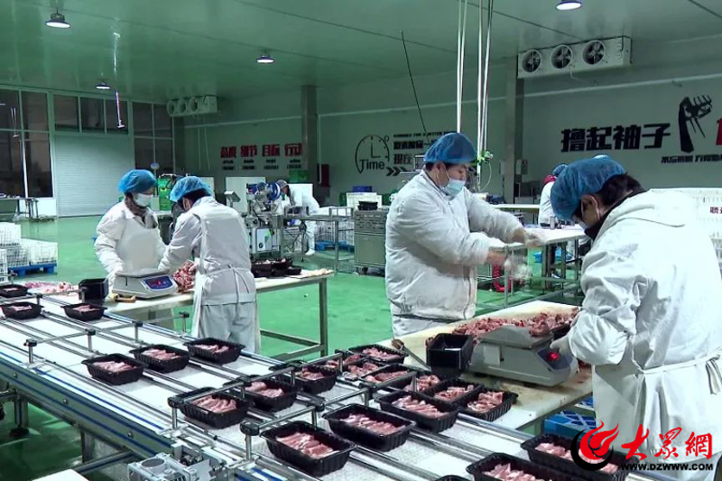 嘉兴汽车维修:紧跟行业趋势,开启绿色出行新时代